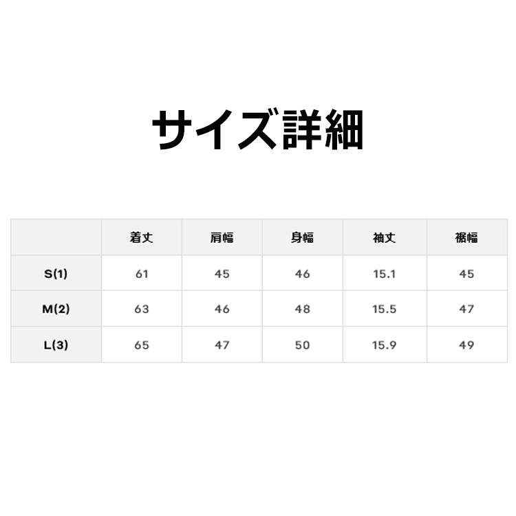 CPG GOLF CPG GOLF BIAS LOGO MOCK NECK SS ロゴ モックネック シャツ