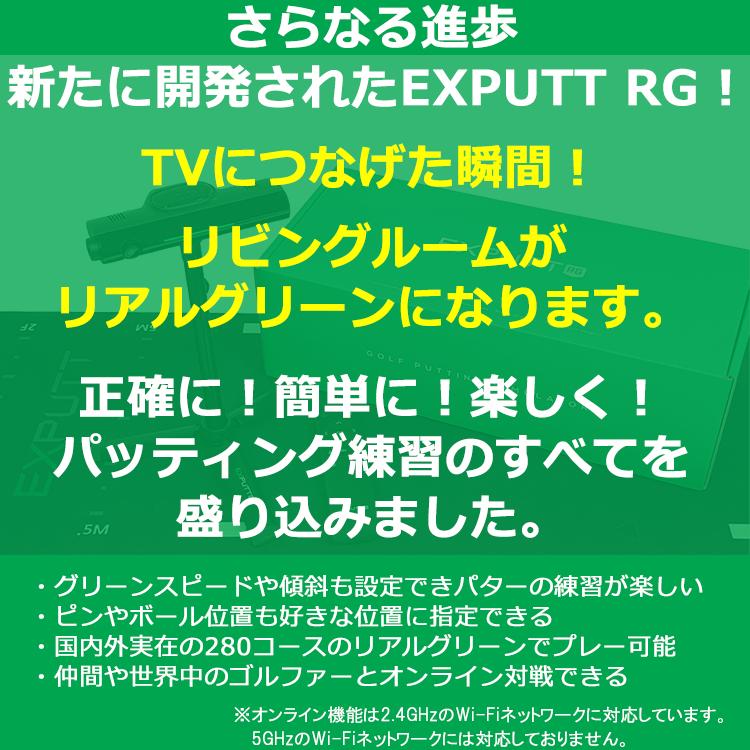期間限定) スカイトラック GPROゴルフ EX PUTT RG EX500D イーエックス