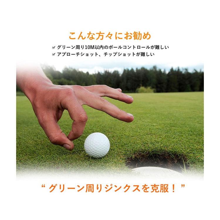 期間限定】【送料無料】 エジソンゴルフ TMAX CHIP BUDDY アプローチ