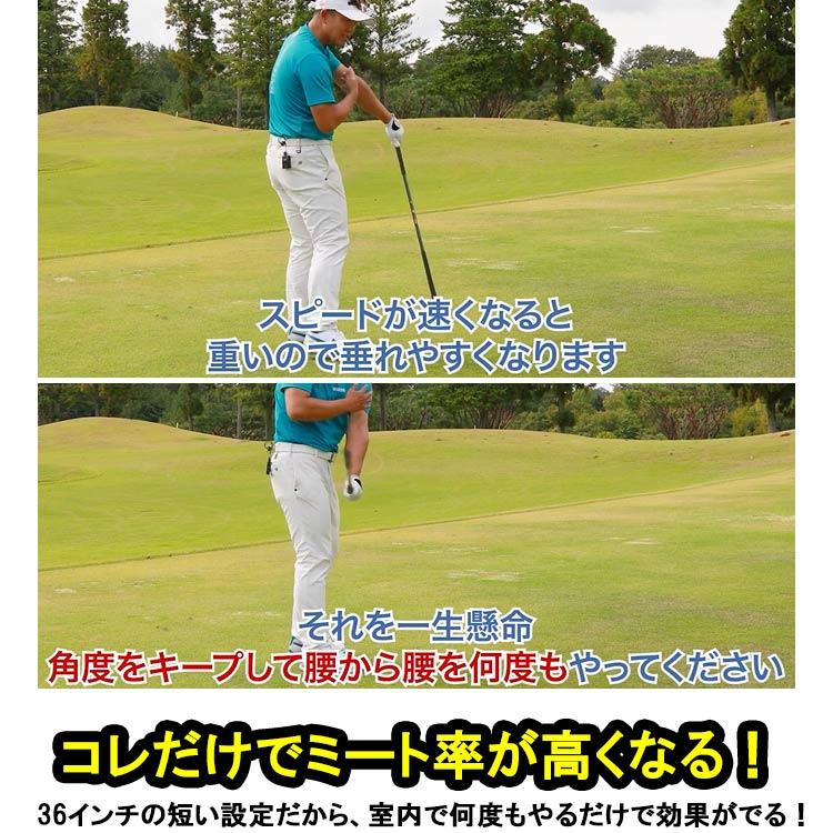 LPSWING スライドスティック スイング 練習器 楽天市場】(ポイント10倍)(即納)LPSwing スライド スティック