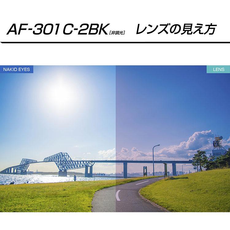 【期間限定】 Air Fly エアフライ AF-301BK 非調光レンズモデル サングラス ユニセックス UVカット99％以上 【sbn】の画像