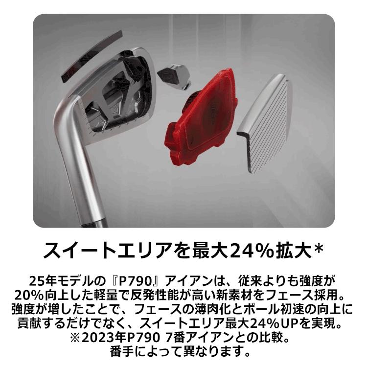 TaylorMade 【期間限定】 テーラーメイド New P790 25 アイアン TaylorMade 【期間限定】 テーラーメイド New P790 25 アイアン