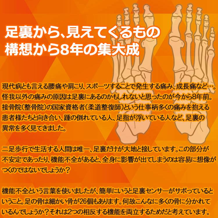 2枚セット】 ワイズプロジェクト 凸凹トレーニングマット ADAPBASE