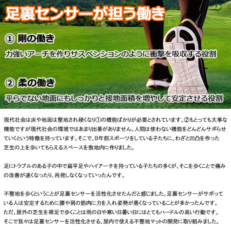 2枚セット】 ワイズプロジェクト 凸凹トレーニングマット ADAPBASE