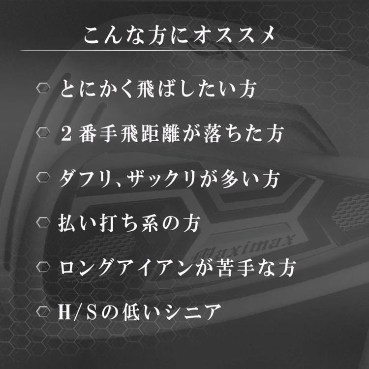(期間限定) ワークスゴルフ マキシマックス アイアン 6本セット（#5-9,PW）ワークテック飛匠シャフト仕様 (sbn)の画像