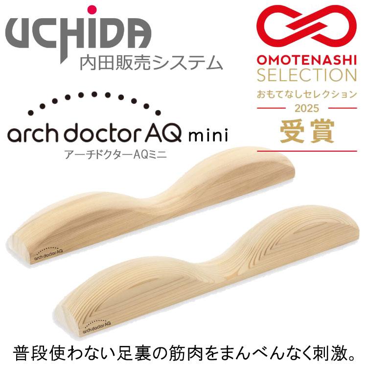 UCHIDA 内田販売システム アーチドクターAQミニ トレーニング用品 健康
