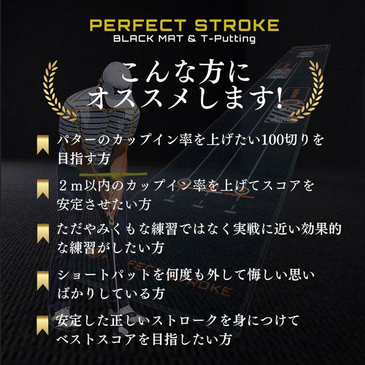 期間限定)(送料無料) PERFECT STROKE パーフェクトストローク ブラック
