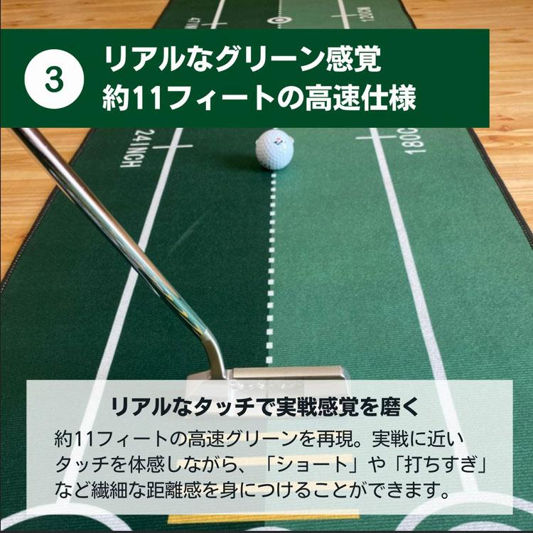 期間限定)(送料無料) PERFECT STROKE パーフェクトストローク ショート