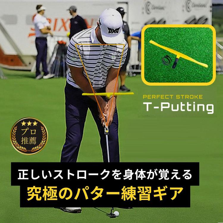 期間限定)(送料無料) PERFECT STROKE パーフェクトストローク ティー