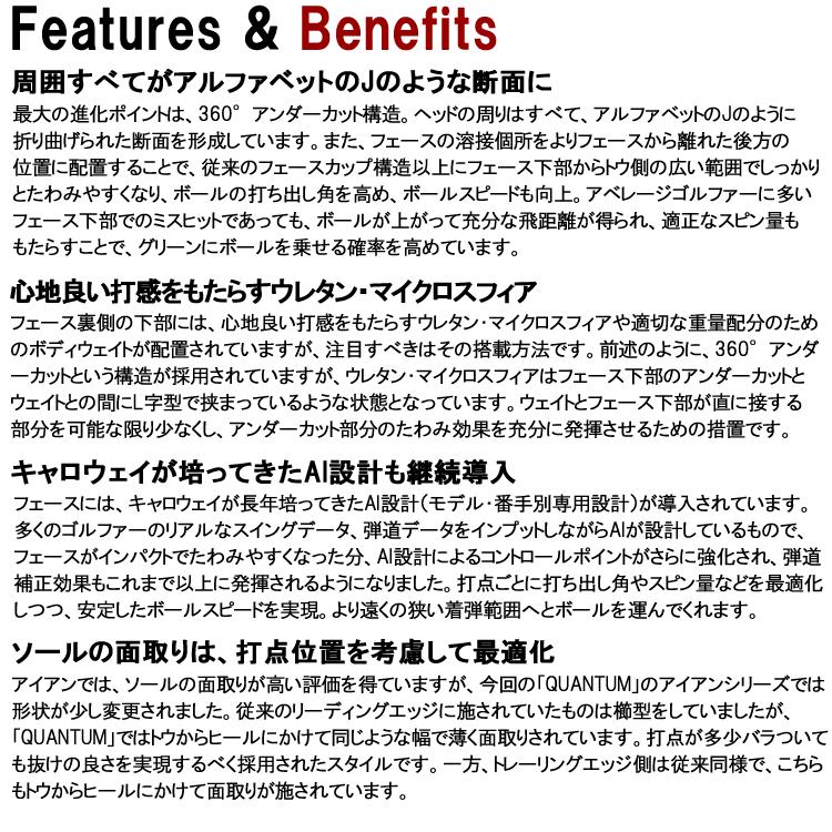 (期間限定) キャロウェイ クアンタム マックス ファスト QUANTUM MAX FAST アイアン 単品 Callway Golf 日本仕様 2026モデル_6