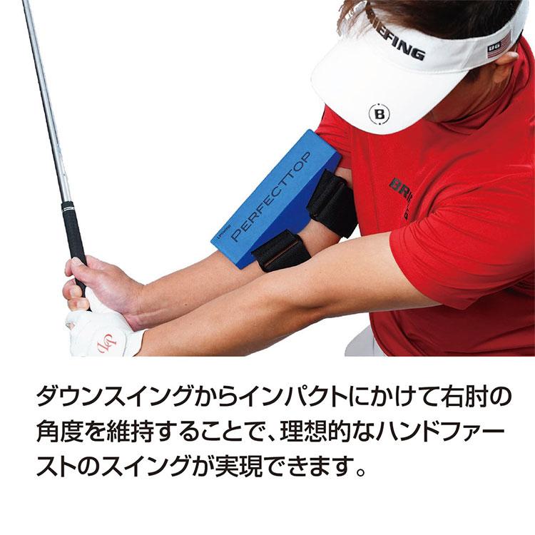 期間限定)(送料無料) LPスイング パーフェクト トップ PERFECT TOP