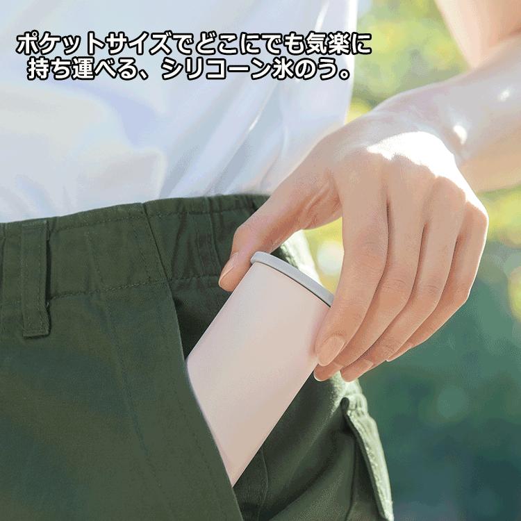 期間限定】【送料無料】 Peacock ピーコック MINI ICE PACK POCKET