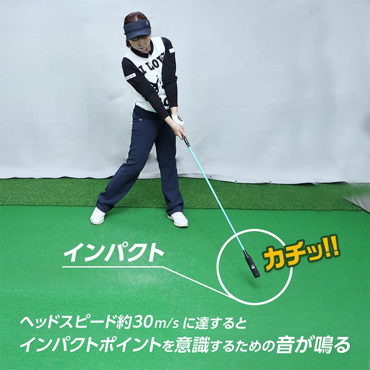 DAIYA GOLF ダイヤゴルフ スイングプロツアーTB スイング練習機 TR