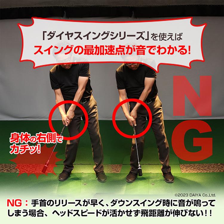 DAIYA GOLF ダイヤゴルフ ダイヤスイング VS スイング練習器 TR-5008