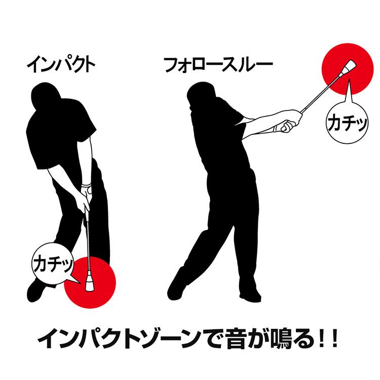 DAIYA GOLF ダイヤゴルフ スイング525 スイング練習機 TR-525