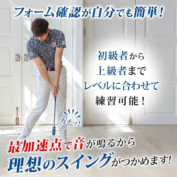 DAIYA GOLF ダイヤゴルフ ダイヤスイング527 スイング練習器 TR-527