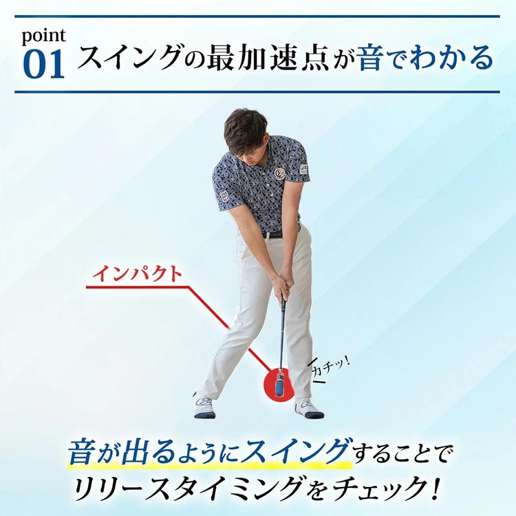 DAIYA GOLF ダイヤゴルフ ダイヤスイング527 スイング練習器 TR-527