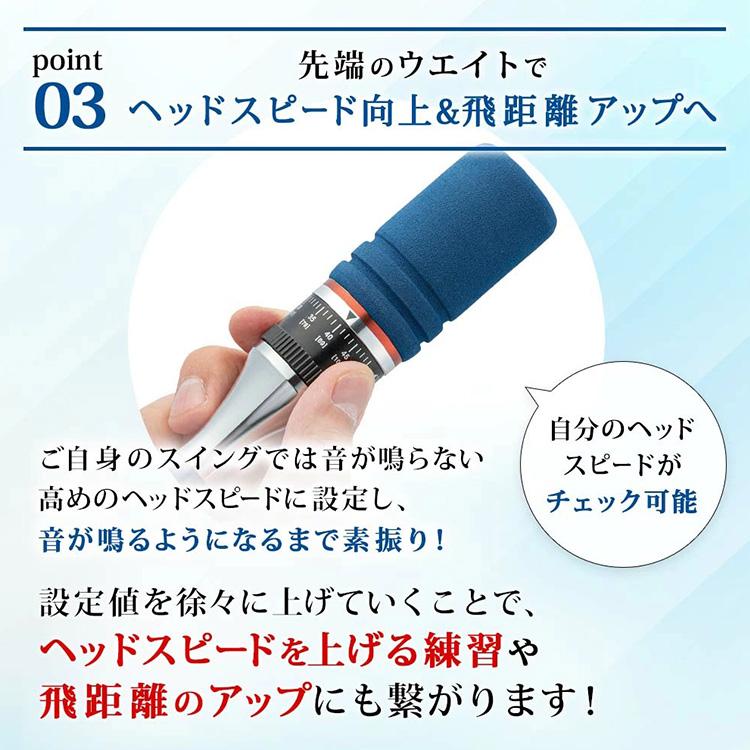 DAIYA GOLF ダイヤゴルフ ダイヤスイング527 スイング練習器 TR-527