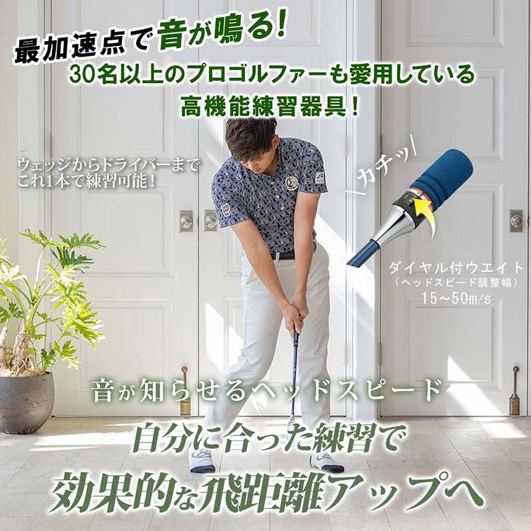 DAIYA GOLF ダイヤゴルフ ダイヤスイング527 スイング練習器 TR-527