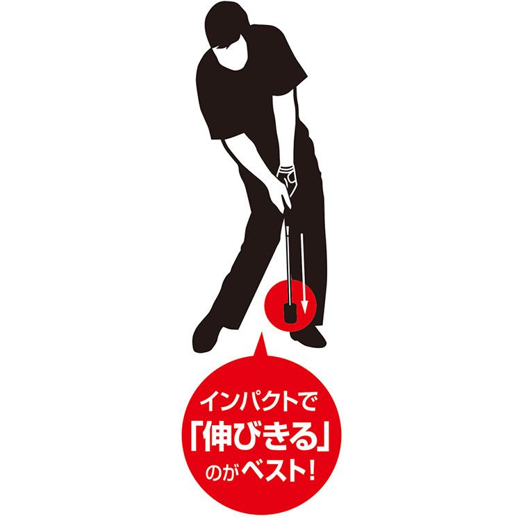 DAIYA GOLF ダイヤゴルフ ダイヤスイング 531 スイング練習器 TR-531