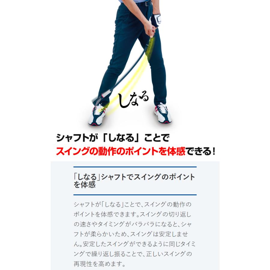 DAIYA GOLF ダイヤゴルフ ダイヤスイング 533 スイング練習器 TR-533