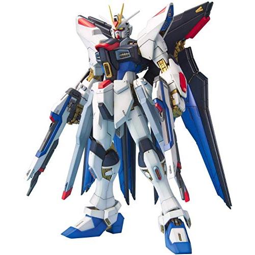 MG ストライクフリーダムガンダム おまけつきスタンド MGサイズ 1/100 ストライクフリーダムガンダム 初回特典スタンド