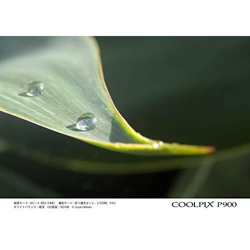 Nikon デジタルカメラ COOLPIX P900 ブラック クールピクス P900BK｜g2021｜15