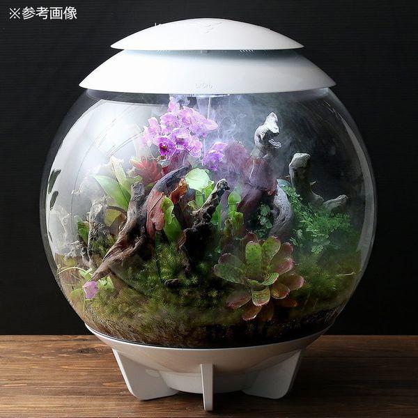 biOrb☆バイオーブエアー60☆ホワイト Amazon｜biOrb バイオーブエアー60 No.46147 ホワイト 植物育成