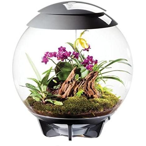 送料無料 Oase バイオーブ エアー 60 グレー : G3 AQUA LAB ヤフー