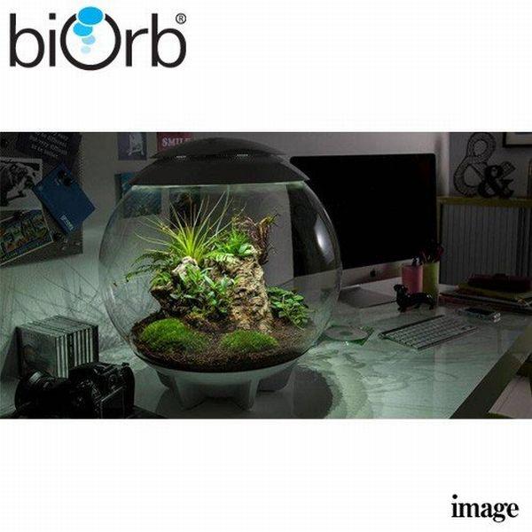 送料無料 Oase バイオーブ エアー 60 グレー : G3 AQUA LAB ヤフー