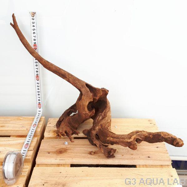 No 34 Adaホーンウッド風流木 約 50cm Www Cholarisk Com