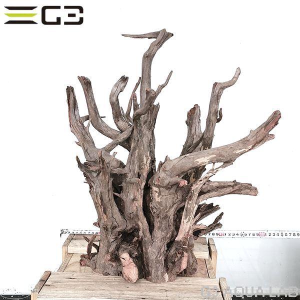 信頼 No 1027 Adaホーンウッド風流木 Xxlサイズ 高さ約480mm 人気ブランド Www Muslimaidusa Org