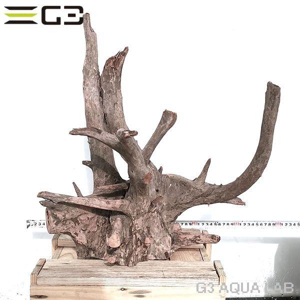 新しいコレクション No 1002 Adaホーンウッド風流木 Xxlサイズ 高さ約490mm メール便なら送料無料 Www Muslimaidusa Org