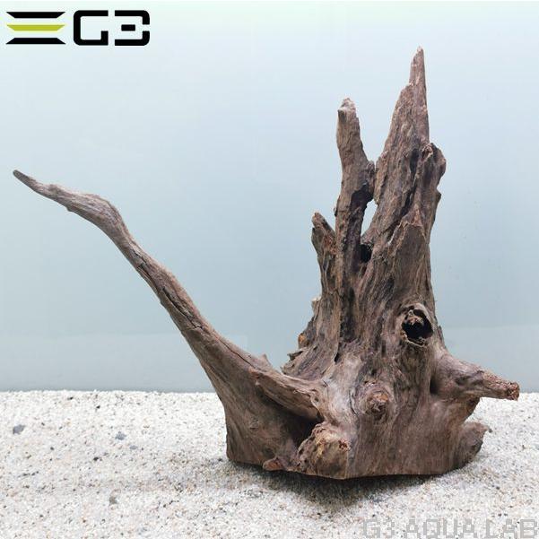 ソネケミファ 観賞魚 観賞魚用アクセサリー用品 グレーブランチ