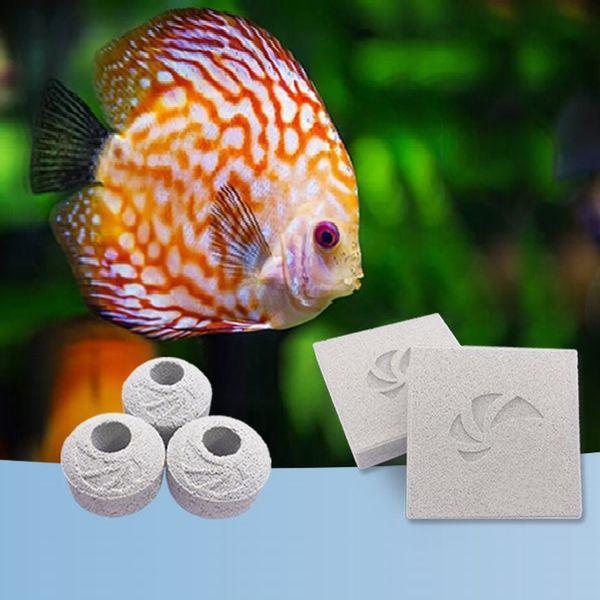 maxspect Nano-Tech Bio BLOCK BLOCK 2個 高機能 maxspect Nano-Tech Bio BLOCK BLOCK 2個 高機能