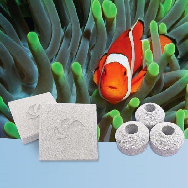 maxspect Nano-Tech Bio BLOCK BLOCK 2個 高機能 maxspect Nano-Tech Bio BLOCK BLOCK 2個 高機能