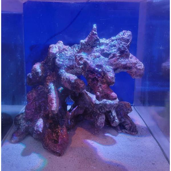 3,【天然素材】ライブロック 豪華8点セット アクアリウム・レイアウト用 ATS ライブロックレイアウト販売 レプリカライブロック : G3 AQUA LAB