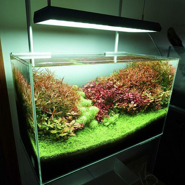 Chihiros Aquatic Studio 「VIVIDII」ブラック RGB VIVID LED Chihiros Aquatic Studio 「VIVIDII」ブラック RGB VIVID LED