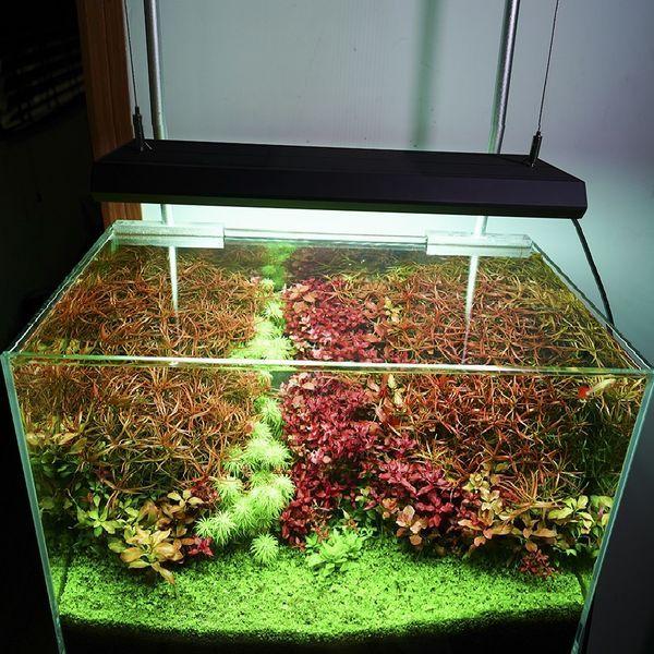 Chihiros Aquatic Studio 「VIVIDII」ブラック RGB VIVID LED Chihiros Aquatic Studio 「VIVIDII」ブラック RGB VIVID LED