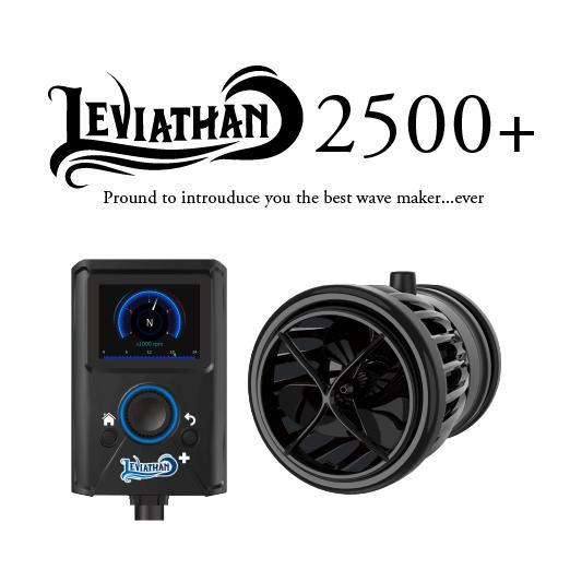 レッドシー 【リニューアルモデル】 ZOOX Leviathan 2500＋