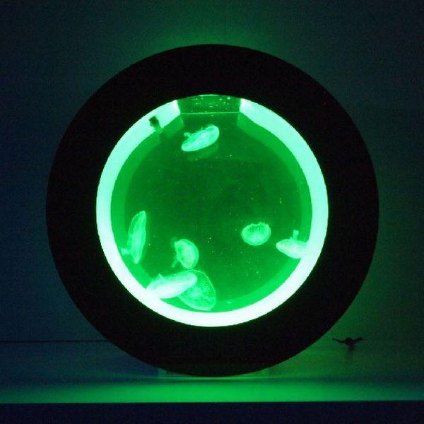 クラゲ飼育水槽セット Orbit 20 ジェネレーション 3．0