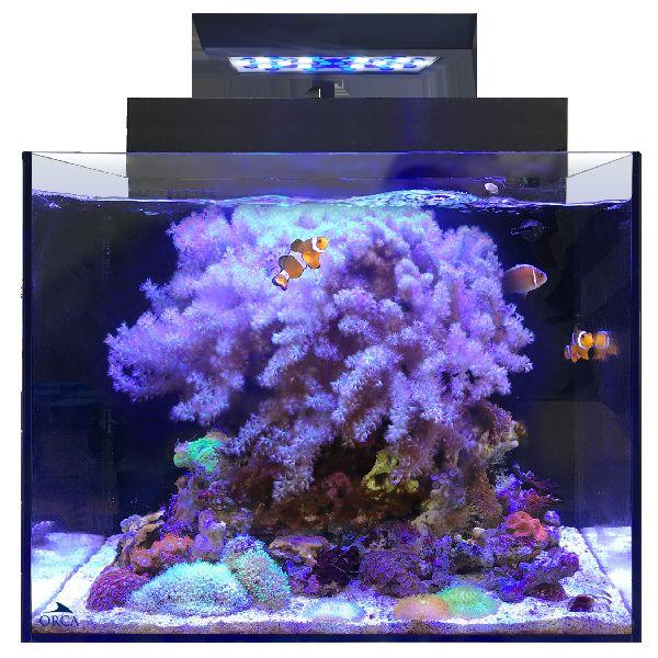 レッドシー シェル2 オールインワン水槽 キャビネットセット レッドシー シェル2 オールインワン水槽 キャビネットセット