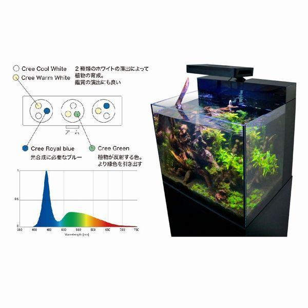 レッドシー 送料無料(北海道・沖縄除く) シェル2 フレッシュ レッドシー 送料無料(北海道・沖縄除く) シェル2 フレッシュ