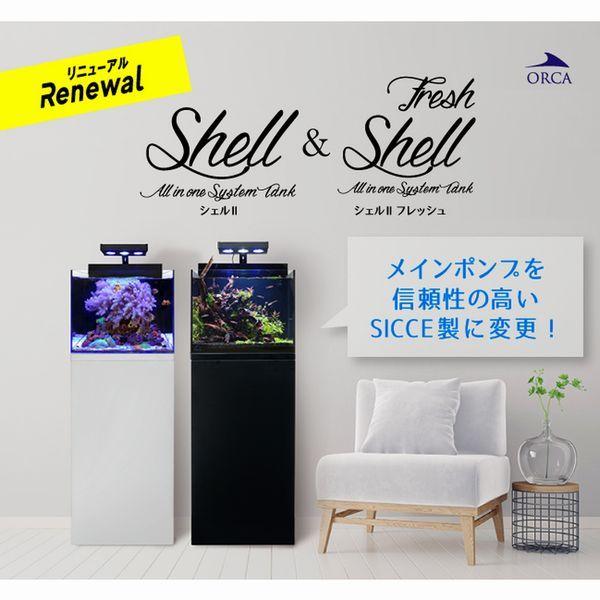 レッドシー 送料無料(北海道・沖縄除く) シェル2 フレッシュ レッドシー 送料無料(北海道・沖縄除く) シェル2 フレッシュ
