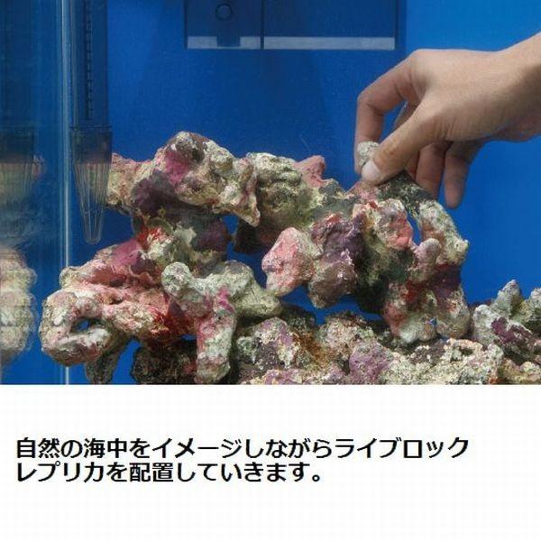 レッドシー ATS ライブロックモジュール G (W200×D390×H150) : G3 AQUA