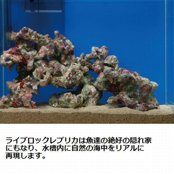 MMC企画レッドシー ATS 枝状ライブロックレプリカ ライブロックモジュールG レッドシー ATS ライブロックモジュール G (W200×D390×H150) : G3 AQUA