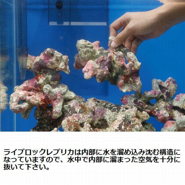 レッドシー ATS ミニライブロックレプリカ（A33） 約17cm : G3 AQUA