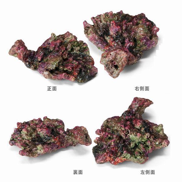 レッドシー ATS ミニライブロックレプリカ（D43） 約23cm : G3 AQUA