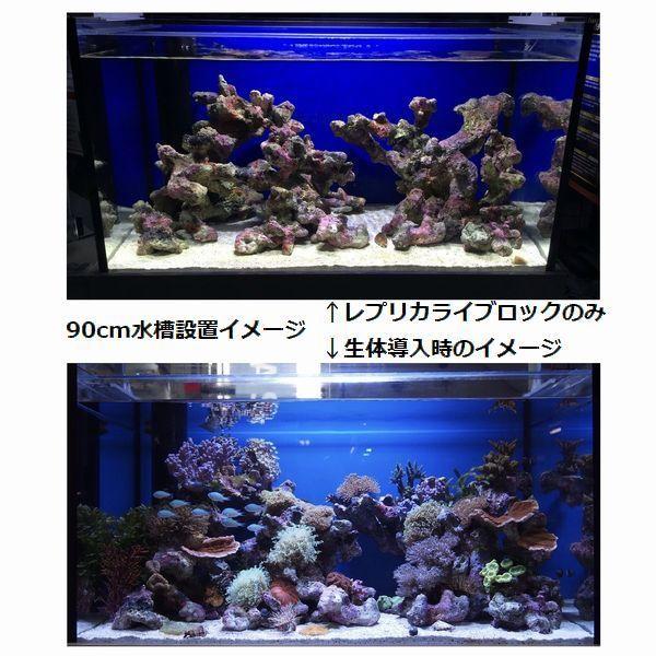 レッドシー ATS ミニライブロックレプリカ（D43） 約23cm : G3 AQUA