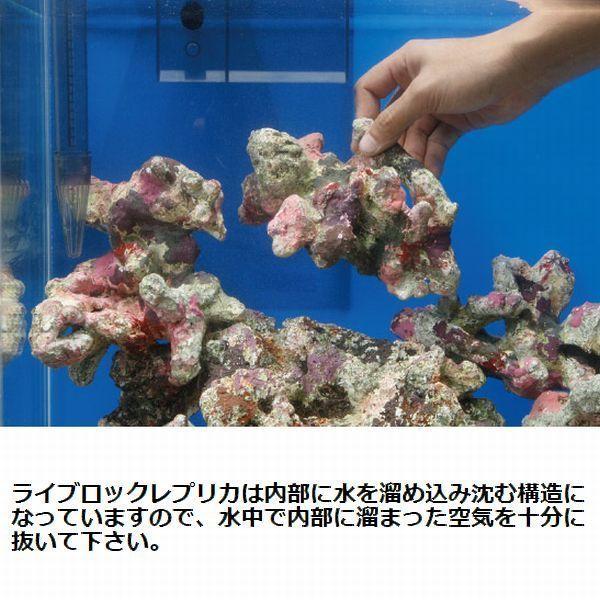 ATSライブロックレプリカセット レッドシー ATS ミニライブロックレプリカ（H53） 約20cm : G3 AQUA